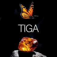 Amber's Presents: Tiga at Amber's