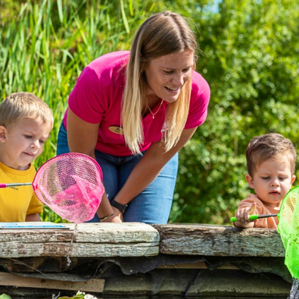 Quiet and Calm Pond Dipping at WWT London Wetland Centre