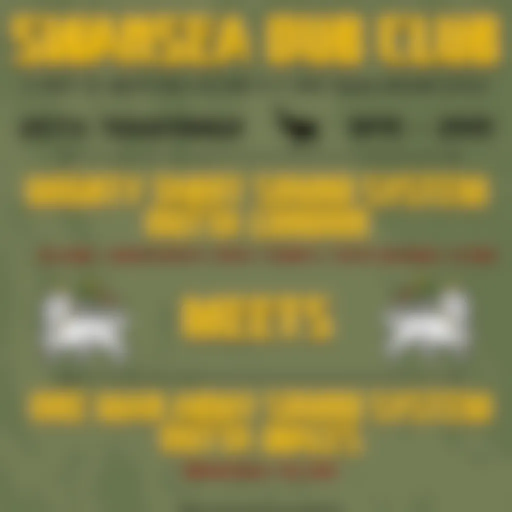 banner