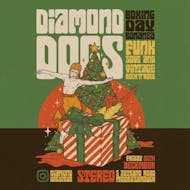 Diamond Dogs BOXING DAY @ STEREO at STEREO MIDDLESBROUGH