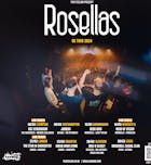 Rosellas - Glasgow