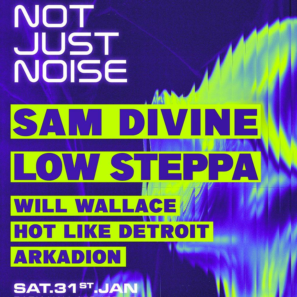 Not Just Noise at Park Hall Nightclub