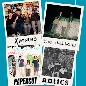 XL Poncho | The Daltons | Antics | Papercut
