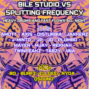 Bile Studio V Splitting Frequencies