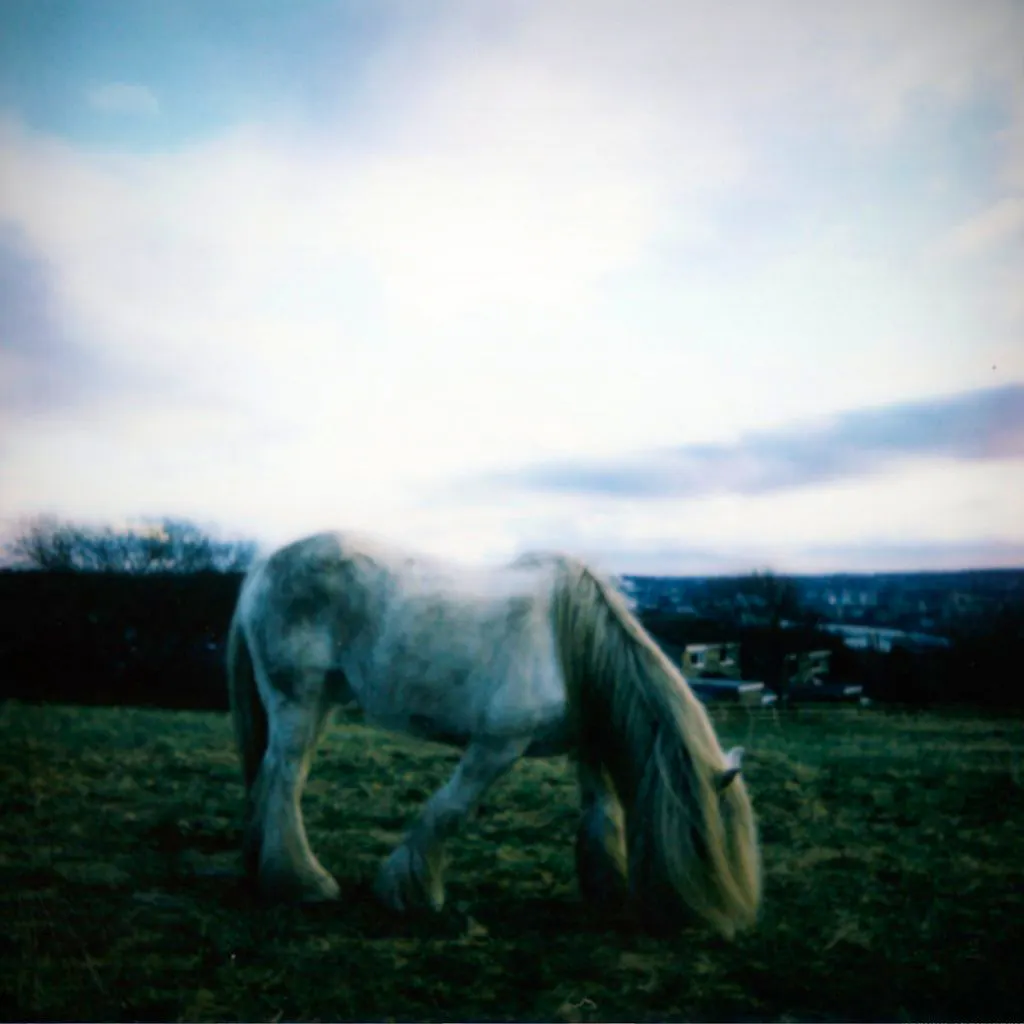 Dean McPhee + The Horse Loom at The Triangle Shipley