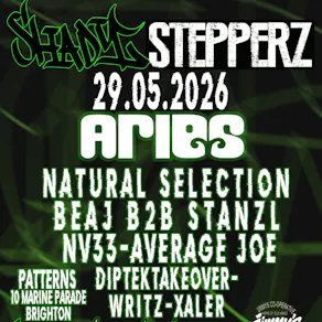 Shady Stepperz