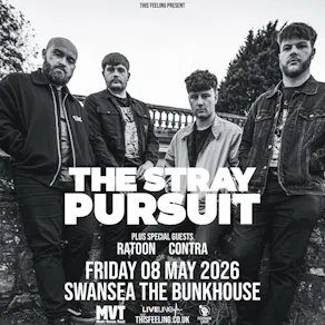 The Stray Pursuit - Swansea