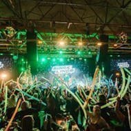 Bingo Lingo - Motion at Motion