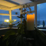 Blue Velvet at PictureHoose