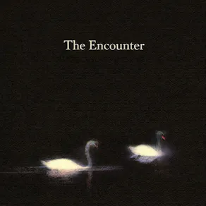 The Encounter