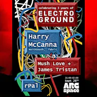 Electroground 3rd Birthday - Harry McCanna at Arc Space