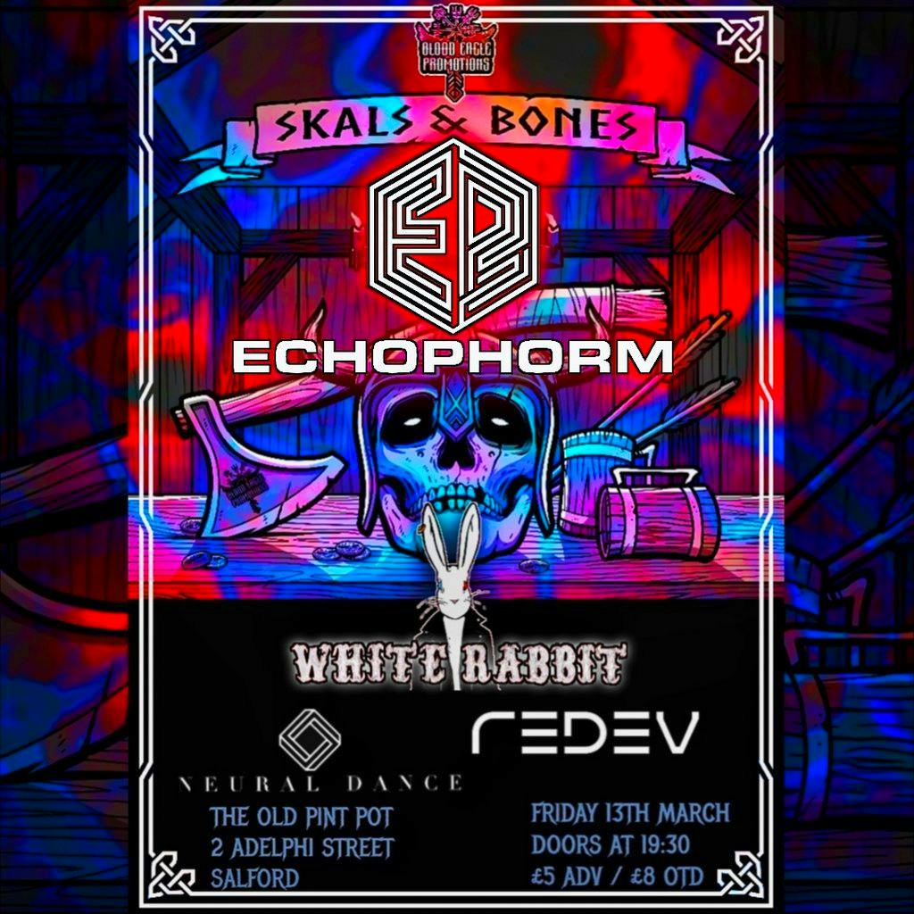 Skåls and Bones Echophorm 13/03 at The Old Pint Pot