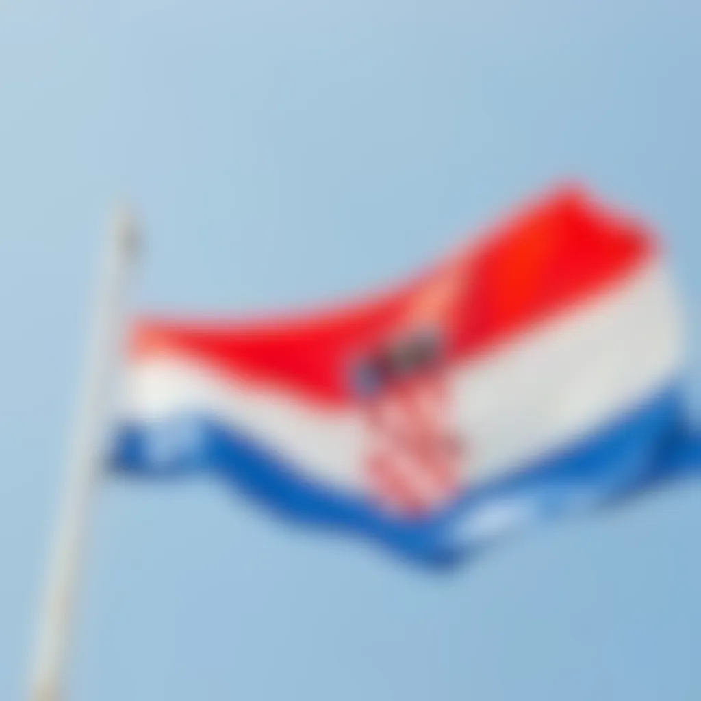 banner