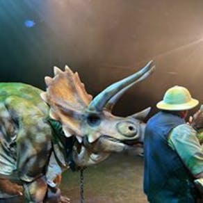 Dinosaur Show LIVE!!