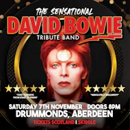 The Sensational David Bowie Tribute Band at Drummonds
