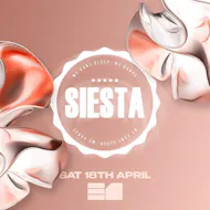 Siesta - Opening Party at CLUB E1