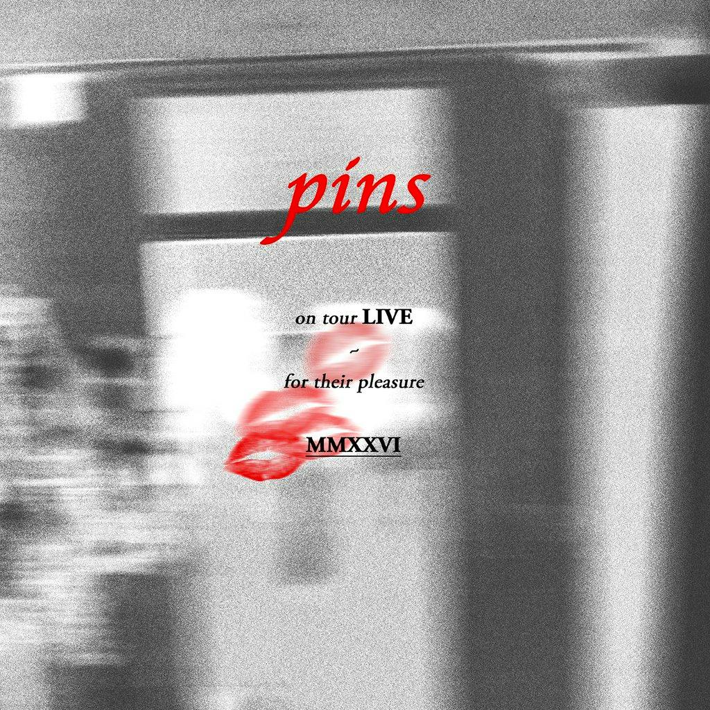 Pins at Bootleg Social 