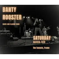 Banty Rooster at The Tunnels Frome