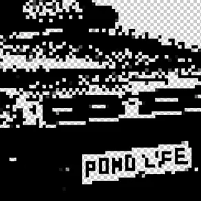 Pond Life's 11th Birthday | Bristol