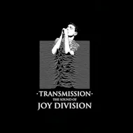 Transmission, Joy Division Tribute. Live at Empire Rochdale at Empire Rochdale