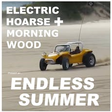 Electric Hoarse + Morning Wood present an Endless Summer Party at The Water Rats