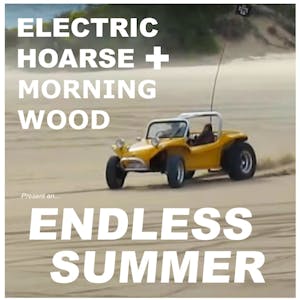 Electric Hoarse + Morning Wood present an Endless Summer Party