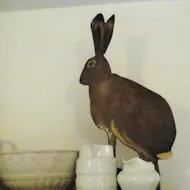 Rustic & Country Lifestyle Event at The Shire Hall, Howden, Dn14 7BJ