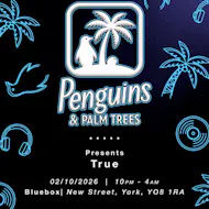 Penguins & Palm Trees Presents: True at The Drawing Board And Bluebox