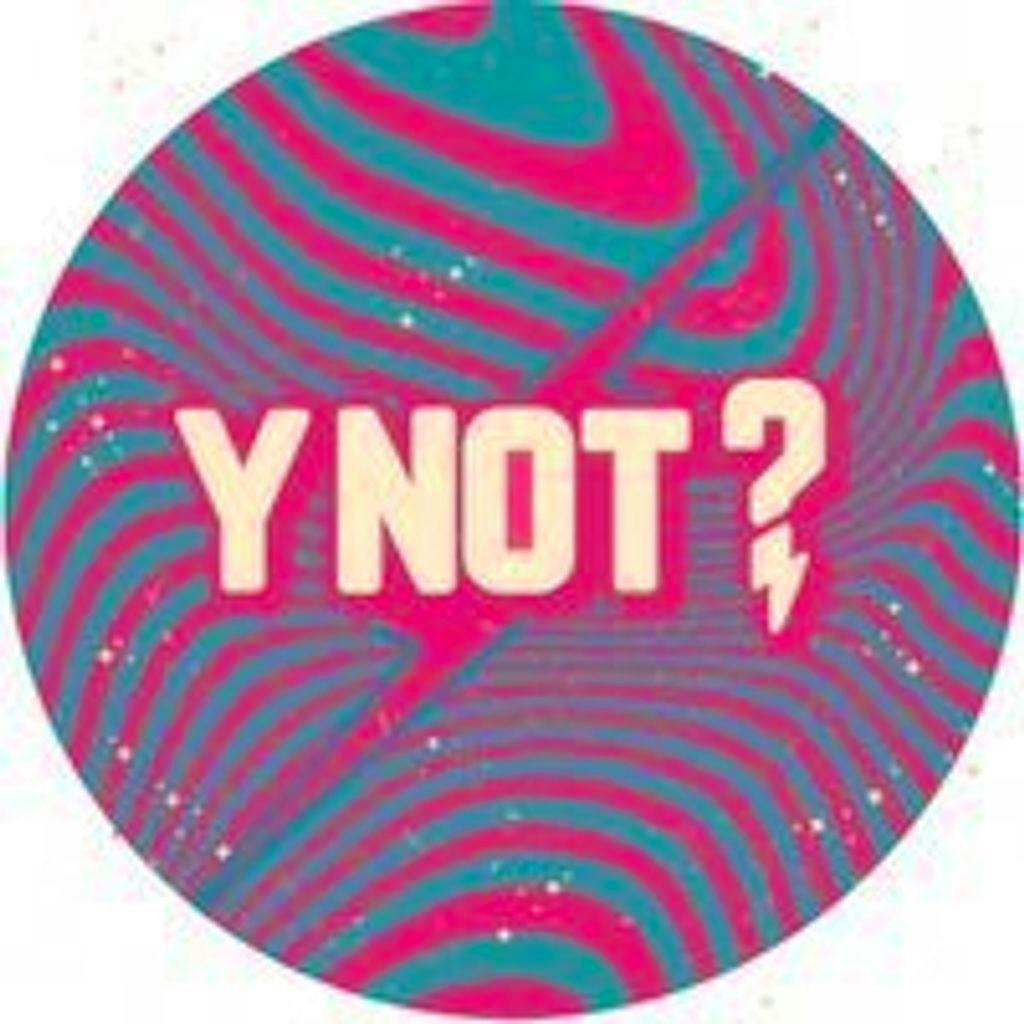Y Not Festival at Pikehall