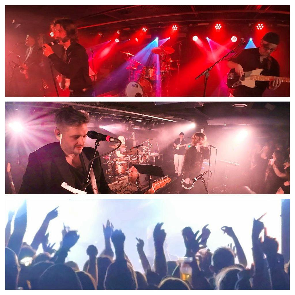 The Seals - Live at Ruskins Bar Kendal at Ruskins Bar