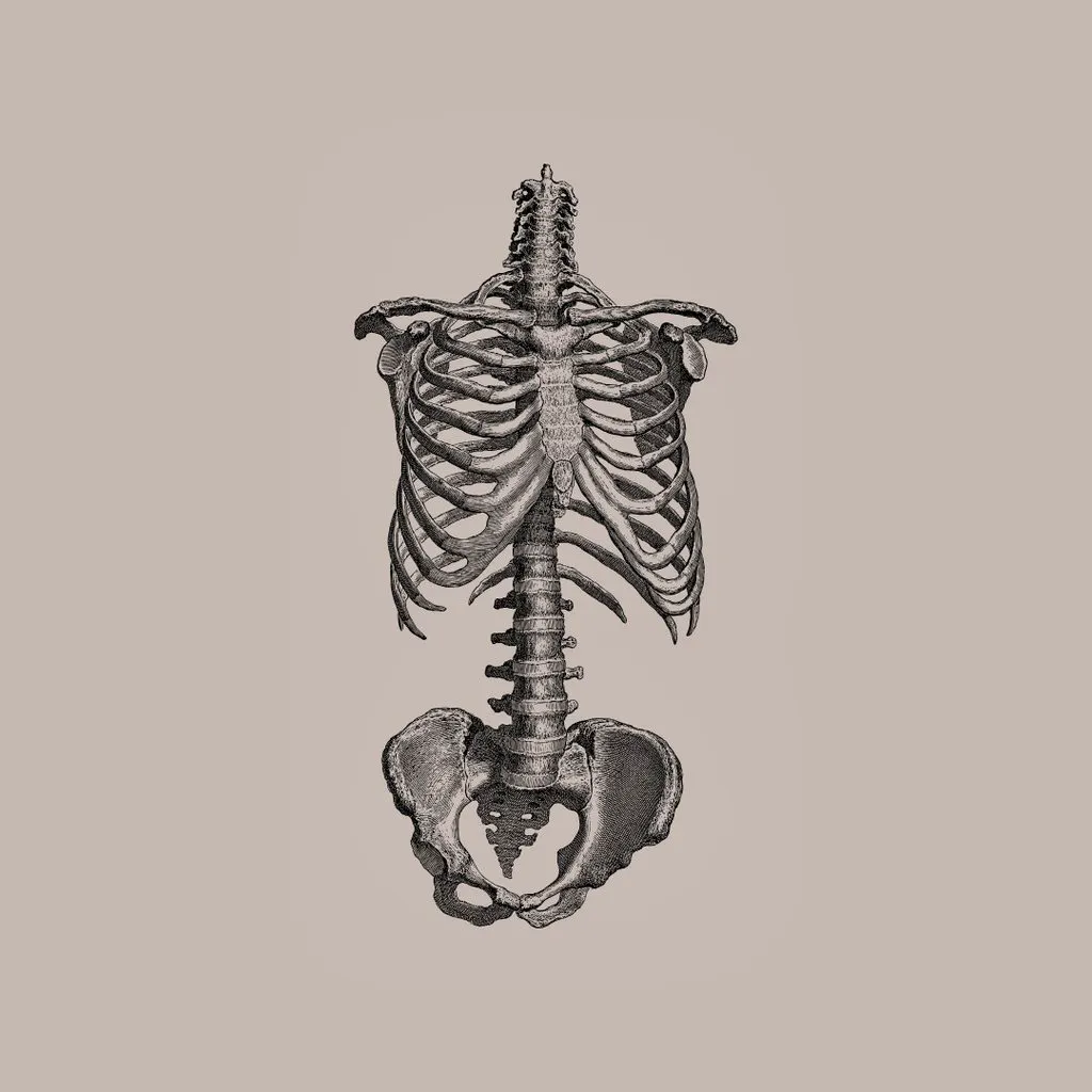 Under The Skin at Commune Liverpool