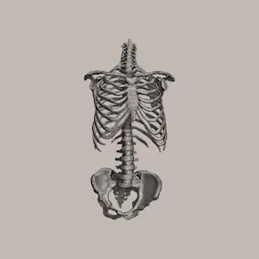 Under The Skin