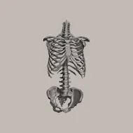 Under The Skin at Commune Liverpool