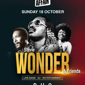 Soul Affair Stevie Wonder & Friends Special