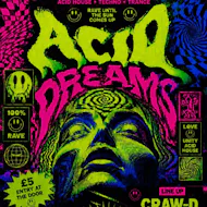 Acid dreams at Fluid Laurie's Bar