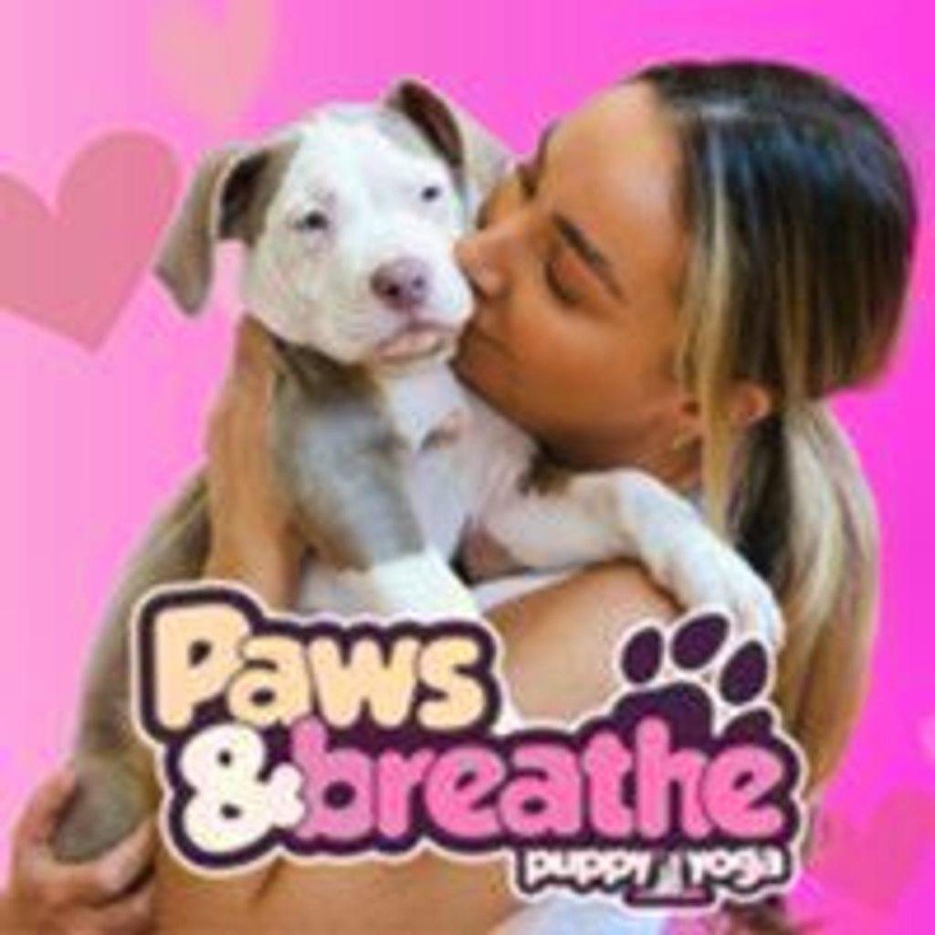 Tickets Puppy yoga Birmingham Selina Birmingham Birmingham Sun 23