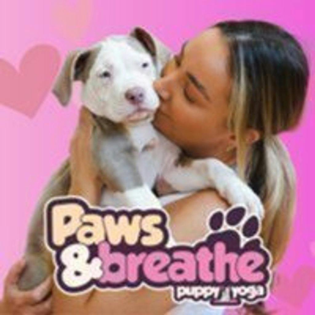 Tickets Puppy yoga Birmingham Selina Birmingham Birmingham Sun 23