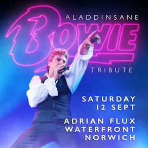Aladdinsane - The Sound & Vision of Bowie tribute: Norwich