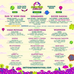 In It Together: Day Tickets Tickets | Old Park Farm Margam Port Talbot  | Sat 25th May 2024 Lineup