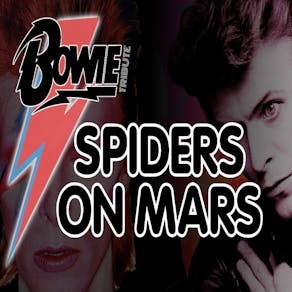 DAVID BOWIE TRIBUTE - SPIDERS on MARS