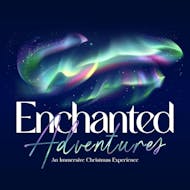 The Enchanted Adventures - Himley Hall Christmas Light Trail at Himley Hall
