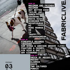 FABRICLIVE: Maximum & Friends: Boy Better Know + more