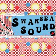 SWANSEA SOUND with WORMBOYS and WANDERING SUMMER at Sydney And Matilda