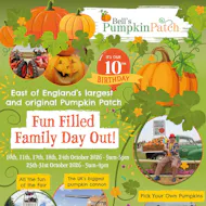 Bell’s Pumpkin Patch at Bells Pumpkin Patch