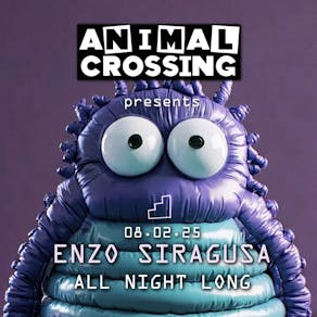 Animal Crossing Presents: Enzo Siragusa All Night Long