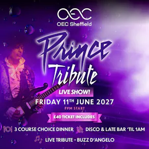Prince Tribute Live Show