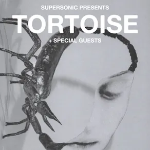 Tortoise at The Crossing, Birmingham