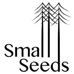 Big Wave - Small Seeds, Huddersfield | Small Seeds Huddersfield  | Fri 26th July 2019 Lineup