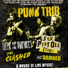 Sex Pistols Exposé/Lizzie & The Banshees/Clashed/We'll be Damned