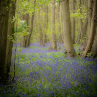 Conscious Connected Breathwork with Lyndsey & Anna at The Wild Box
